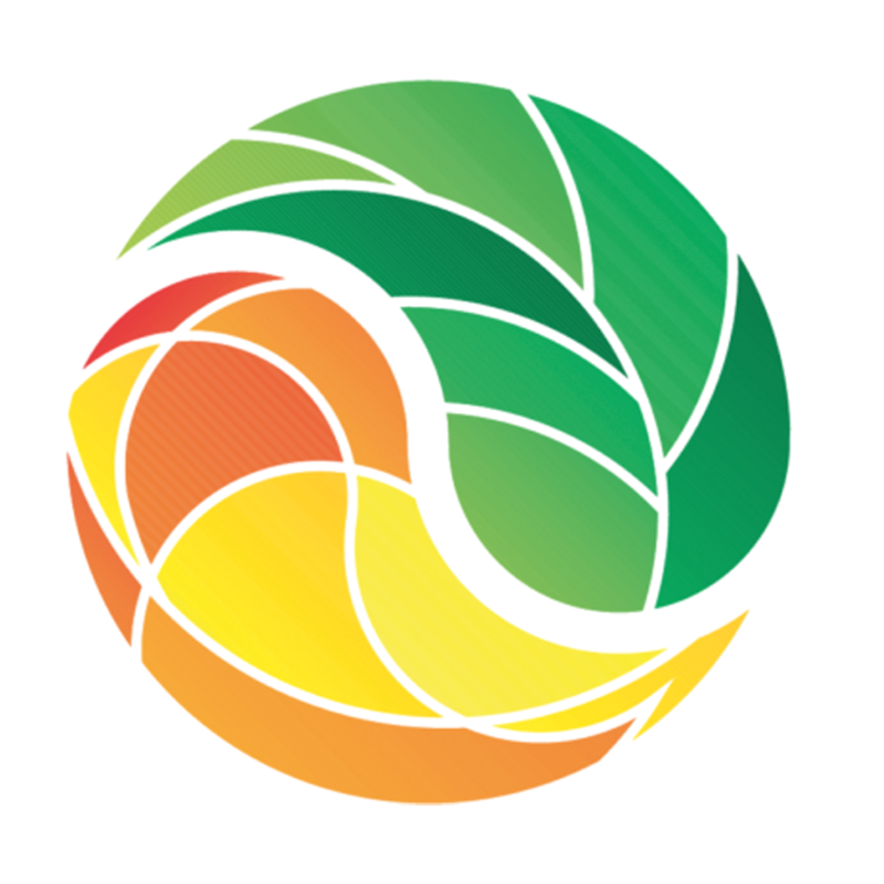 Logo de 100 Anos da Pesquisa Gaúcha